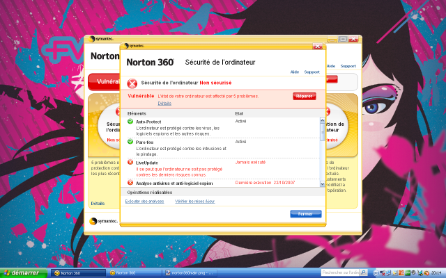 Norton 2008